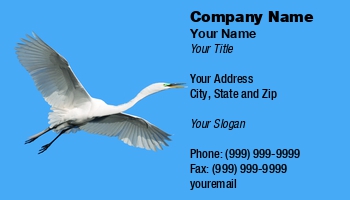 Featured Designs |--| At122898 | Background | Beautiful | Bird | Blue | Egret | Flight | Great | Great White Egret | John J. Henderson | Showing | Sky | Underside | White | Wings