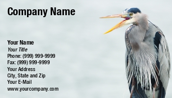 Featured Designs | Wild |--| Animal Photography | Areas | At122902 | Beak | Bird | Blue | Business | Commonly | Great | Great Blue Heron | Heron | Highlight | John J. Henderson | Open | Southern | States | United | Wading | Wetlands | Wildlife Photography