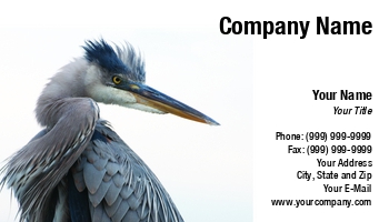 Featured Designs | Wild |--| Animal Photography | At122904 | Bird | Great Blue Heron | Heron | John J. Henderson | Wildlife Photography