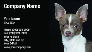 Featured Designs |--| Animal Breeder | At122906 | Background | Black | Chihuahua | Common | Dog | Dog Breeder | Dog Photographer | Dog Photography | Dog Trainer | Dogs | Favorite | Hilton | Homes | John J. Henderson | Paris | Pet | Pet Photography | Portrait | Smaller