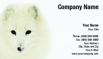 Featured Designs | Parts | Trades | Wild |--| Arctic | Arctic Fox | At122913 | Background | Commonly | Fox | Hunting | John J. Henderson | Norther | Portrait | Taxidermy | White