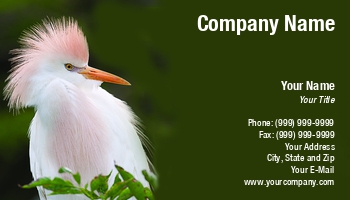 Featured Designs | Wild |--| Animal Photography | At122934 | Bird | Egret | John J. Henderson | Snowy Egret | Wildlife Photography