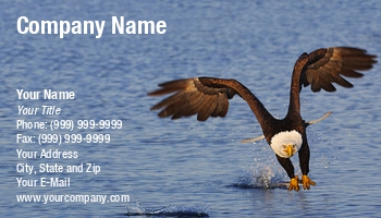 Delivery | Featured Designs | Fishing | Trades | Transportation |--| At123371 | Bald Eagle | Bird | John J. Henderson