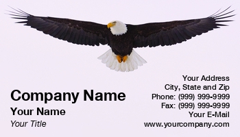 Americas | Featured Designs | Patriotic | Security | Trades | Wild |--| America | At123374 | Bald | Bald Eagle | Business | Design | Eagle | Flying | John J. Henderson | Overhead | Provide | Raptor | Watch | Watching