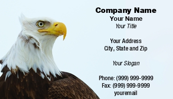 Featured Designs | Security | Trades |--| At123375 | Bald | Bald Eagle | Bird | Card | Companies | Eagle | Excellent | Guard | Industry | Intense | Jobs | John J. Henderson | Make | Organization | Portrait | Protecting | Raptor | Related | Responsible | Sentry | Service | Stare | Tourist | Vacation | Watching