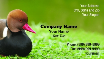 Children | Family | Featured Designs | Food | Hospitality | Nature | People | Wild |--| Animal Doctor | At123379 | Bird | Card | Colorful | Duck | Duck Hunting | Ducks | Enjoy | Especially | John J. Henderson | Love | Lovers | Parks | Pet | Pet Shop | Pet Sitter | Popular | Pouchard Duck | Sell | Stores | Supplies | Veterinary Assistant | Veterinary Technician | Visit