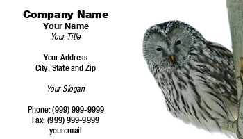Featured Designs |--| At123418 | John J. Henderson | Owl | Trophy Hunting | Wisdom | Wise