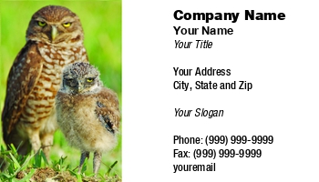 Featured Designs |--| At123494 | Bird | Day Care | Daycare | John J. Henderson | Owl | Wisdom