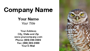 Featured Designs | Nature |--| At123495 | Bird | Bird Watcher | Burrowing | Burrowing Owl | California | Cape | Coral | Diego | Florida | Ft | John J. Henderson | Locations | Lovers | Myers | Owl | Popular | Protected | Resident | San | Species | Wisdom | Wise