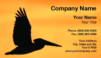 Featured Designs | Nature | Wild |--| At123508 | Bird | Company | Early | Fish | Flying | John J. Henderson | Morning | Pelican | Related | Rises | Sport | Sunrise | Sunset