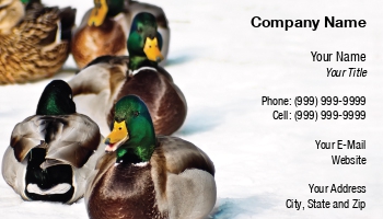 Featured Designs |--| At124266 | Bird Hunting | Birds | Business | Concept | Conservation | Duck | Duck Hunting | Ducks | Flock | Image | Lynn Cummings | Make | Nearly | Organization | Quack | Sitting | Snow | Suitable | Wildlife