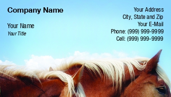 Featured Designs |--| #039 | At124435 | Background | Blue | Clinic | Flowing | Heads | Horse | Horse Racing | Horseback Riding | Horses | Lynn Cummings | Manes | Rancher | Shows | Sky | Trainer | Veterinary | View | White