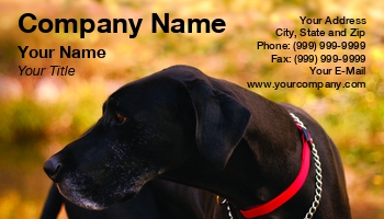 Featured Designs |--| Ad | Animal | At124545 | Background | Black | Businesses | Clinic | Collar | Colors | Concept | Dog | Fall | Groomer | Labrador | Labrador Retriever | Lynn Cummings | Pet | Pet Hotel | Red | Rescue | Store | Trainer | Types | Veterinary | Work
