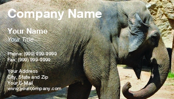 Animals | Featured Designs |--| Animal | Antonio | Asian | At124803 | Circus | Elephant | Fairy Girl Cards | Grey | Keeper | San | Texas | Trainer | Zoo | Zoologist