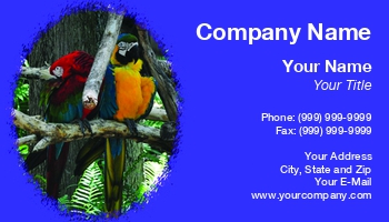 Featured Designs |--| Antonio | At124809 | Aviary | Bird | Birds | Fairy Girl Cards | Green | Macaw | Pair | Parrots | Pet Boarding | Pet Store | Pets | Red | San | Texas | Tropical | Zoo