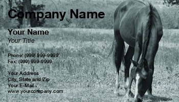 Featured Designs |--| At125486 | Black | Equine | Fairy Girl Cards | Farrier | Field | Grazing | Horse | Mare | Ranch | Stallion | White