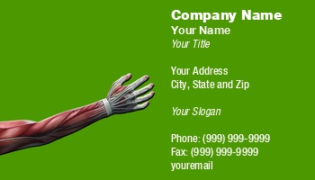 Featured Designs | Medical | Professional |--| Anatomical | Anatomy | Arm | At127380 | Biological Science Teacher | Biological Scientist | Card | Clinic | Clinics | Doctor | Hospital | Human | Ideal | Kinesiology | Medic | Medicine | Medico | Members | Michael Schmeling | Muscles | Physician | Profession | Representation | Showing | Surgeon
