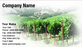 Featured Designs | Hospitality | Wine |--| At129433 | Businesses | California | Card | Grape | Linda Z. Ryan | Make | Napa | Particular | Photograph | Sell | Shops | Valley | Vines | Vineyard | Vineyards | Wineries