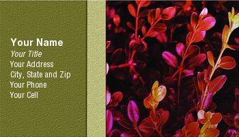 Featured Designs |--| Area | At129464 | Background | Business | Card | Colorful | Gardeners | Greenhouses | Landscape | Landscapers | Law | Leaves | Left | Linda Z. Ryan | Maintenance | Nurseries | Plant | Text | Textured | Toned