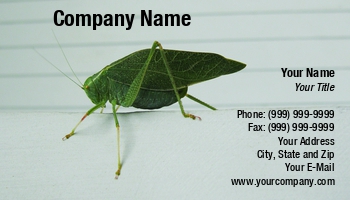 Featured Designs |--| Alice Day-ef | At131540 | Background | Biologist | Bug | Card | Close | Entomologist | Insect | Katydid | Makes | Scientist | Shot