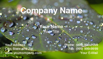 Featured Designs |--| At131870 | Drops | Leaf | Les Palenik | Plant Watering Service | Rain | Wet