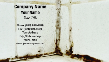 Featured Designs |--| At133943 | Disaster Cleanup | Disaster Recovery | Karin Lau | Mold | Mold Inspection And Remediation
