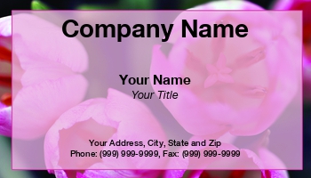 Featured Designs | Floral | Nature | Potpourri |--| At134231 | Florist | Flowers | Karin Lau | Tulip