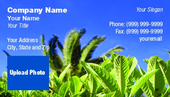 Farm | Featured Designs |--| At134764 | Blue | Characteristic | Clear | Mediterranean | Sinisa Botas | Sky | Summer | Vegetation
