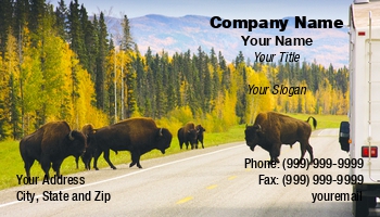 Featured Designs |--| Alicia Pastiran | At138490 | Bison | Buffalo | National Parks