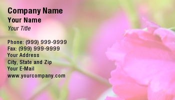 Featured Designs | Garden | Trades |--| At139768 | Bougainvillea | Jc Lee | Pink | Pretty | Spring