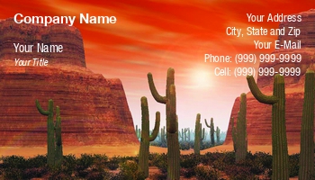 Desert | Featured Designs | Nature | Professional | Travel |--| Astrid Van Der Eerden | At144399 | Cacti | Cactus | Canyon | Eco | Ecology | Grand | Landscape