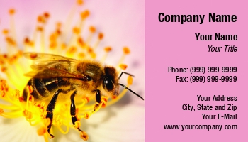 Featured Designs |--| Alternative | Alternative Medicine | Apiculture | At147001 | Bee | Beekeeper | Business | Card | Catalin Petolea | Choice | Close | Collecting | Features | Flower | Honey | Ideal | Involved | Macro Photography | Medicine | Pollen | Template