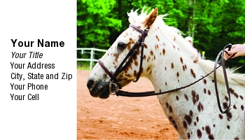 Featured Designs |--| At152607 | Equestrian | Horse | Horse Riding | Horseback Riding | Linda Z. Ryan