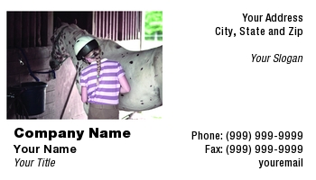 Featured Designs |--| At152609 | Horse | Horse Training | Linda Z. Ryan | Pet Sitting Service