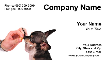 Featured Designs |--| At153486 | Business | Card | Catalin Petolea | Chihuahua | Company | Dog | Dog Care | Dog Groomer | Dog Sitting | Dog Trainer | Dog Training | Excellent | Great | Shot | Taking | Trainer | Training | Treat