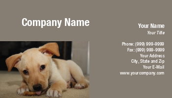 Featured Designs |--| Animal | Animal Care | At155227 | Cute | Daycare | Dog | Dog Boarding Kennel | Dog Breeder | Dog Groomer | Dog Kennel | Dog Sitting | Dog Trainer | Golden Retriever | Great | Groomers | Image | Jay Schulz | Labrador | Labrador Retriever | Pet | Puppy