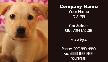Featured Designs |--| Animal | Animal Shelter | At155229 | Daycare | Dog | Dog Bathing | Dog Breeder | Dog Groomer | Dog Trainer | Golden Retriever | Jay Schulz | Labrador Retriever | Picture | Puppy | Shelter
