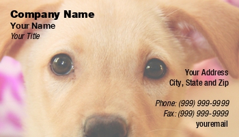 Featured Designs |--| At155231 | Businesses | Daycare | Dog | Dog Breeder | Dog Daycare | Dog Groomer | Dog Trainer | Doggy | Face | Golden Retriever | Groomer | Jay Schulz | Labrador | Labrador Retriever | Puppy | Related