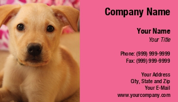 Featured Designs |--| At155233 | Card | Care | Cute | Dog | Dog Breeder | Dog Groomer | Dog Sitter | Dog Trainer | Giver | Golden Retriever | Jay Schulz | Labrador Retriever | Pink | Puppy | Sitter