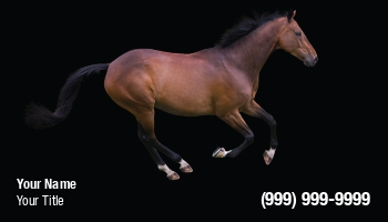 Animals | Featured Designs | Veterinarian |--| At157146 | Brown | Care | Equestrian | Erik Lam | Great | Groomer | Horse | Horse Racing | Horse Riding | Image | Running | Veterinary | Worker