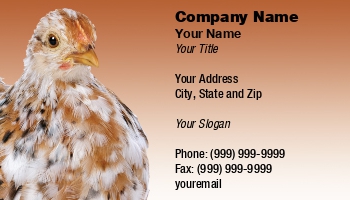 Farm | Featured Designs |--| At157152 | Chicken | Erik Lam | Farmer | Poultry