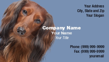 Animals | Featured Designs | Veterinarian |--| At157159 | Dachshund | Dog | Dog Walker | Erik Lam | Groomer | Veterinary Care Worker