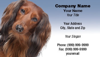 Animals | Featured Designs | Veterinarian |--| At157160 | Dachshunds | Dog | Dog Walker | Erik Lam | Groomer | Veterinary Care Worker | Veterinary Technician