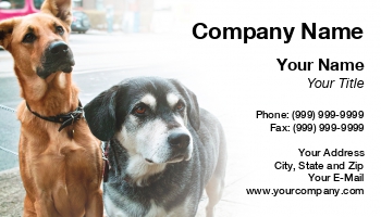 Featured Designs |--| At163718 | Dog | Dog Photographer | Dog Supplies | Dog Walking Service | Dogs | Elena Elisseeva | Pet-psychologist | Sidewalk | Walking