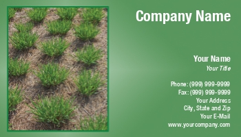 Featured Designs | Landscaping | Professional | Trades |--| At163983 | Greenhouse | Grid | Landscapers | Lee Barnwell | Lily | Planting | Plants | Vegetation | Young