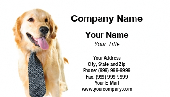 Featured Designs |--| At164004 | Care | Dog | Dog Bathing | Elena Elisseeva | Golden | Golden Retriever | Retriever | School | Tie | Trainer | Training | Walking | Wearing