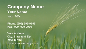 Featured Designs |--| Agricultural | Agriculture | At168354 | Background | Barley | Card | Crops | Ear | Farming | Field | Focus | Gillian Pathey-johns | Green | Growing | Industries | Isolated | Lone | Rye | Soft | Template | Wheat