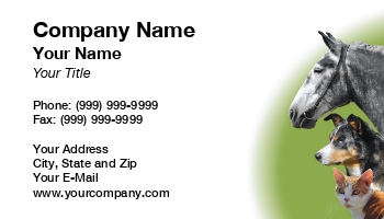 Animals | Featured Designs | Veterinarian |--| At168360 | Gillian Pathey-johns | Photoshop