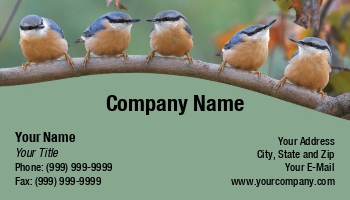 Featured Designs |--| At168371 | Bird | Gillian Pathey-johns