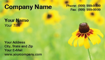 Featured Designs | Floral | Nature |--| At169870 | Black | Eyed | Field | Flower | Flowers | Focus | Susan | Suzi Nelson